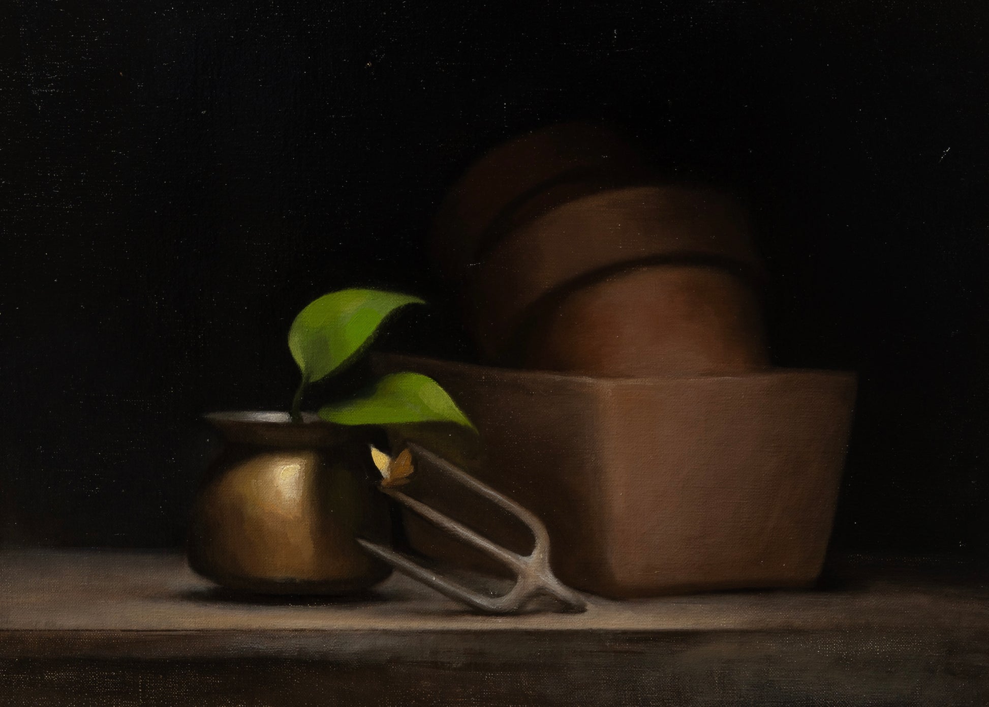 Garden Still Life