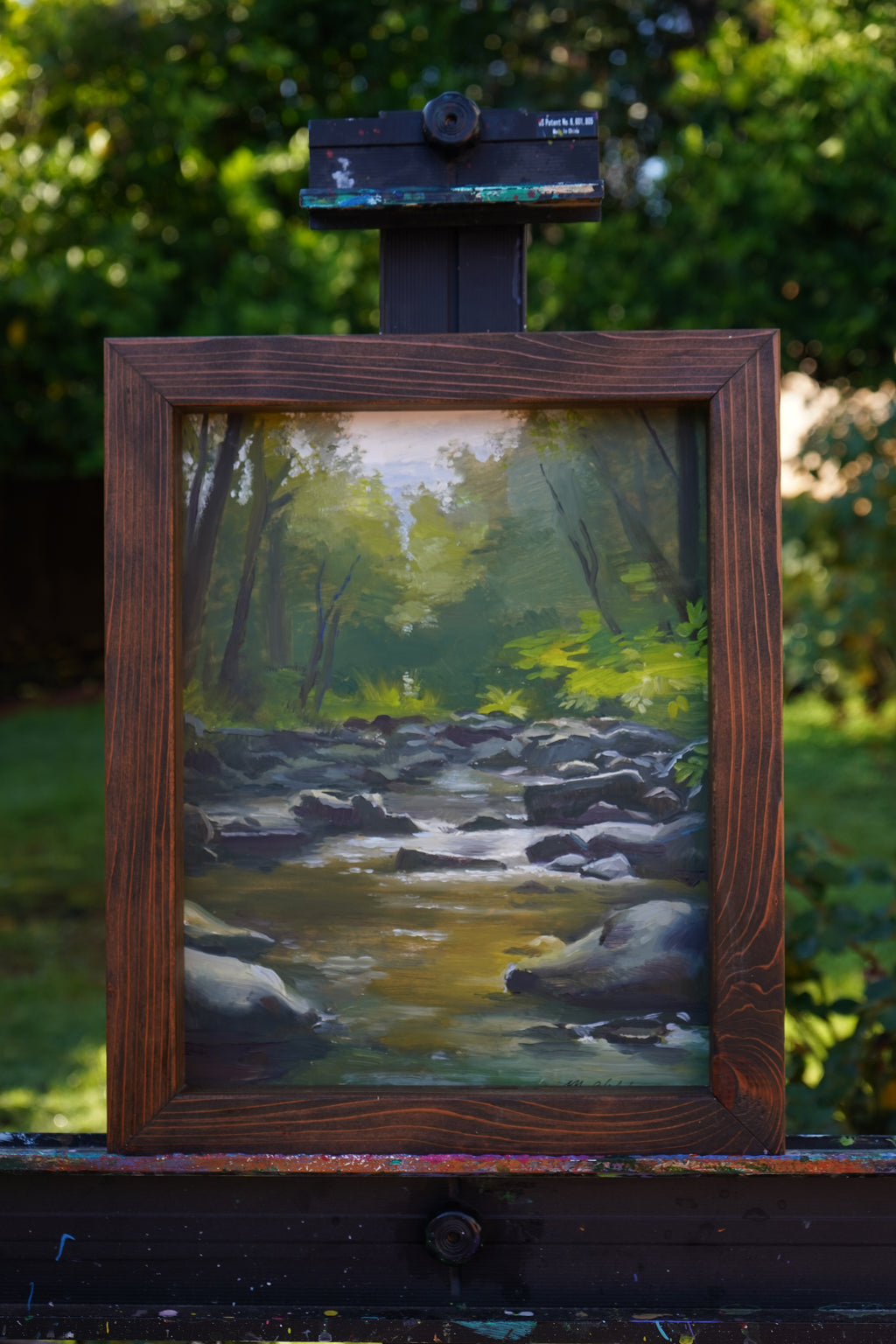 California Creek, 2023